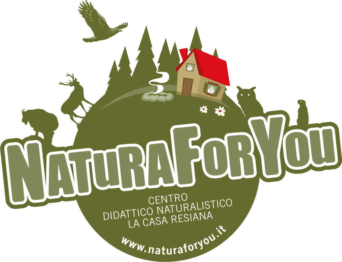 NaturaForYou_logo